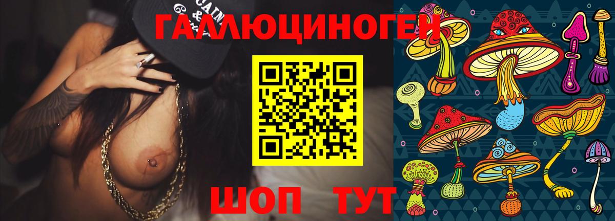 Псилоцибиновые грибы Psilocybe  Псилоцибиновые грибы Psilocybe  Вход с VPN  Отрадный 